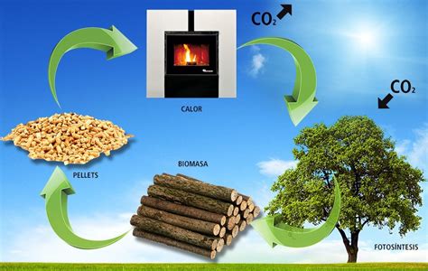 energia biomasa